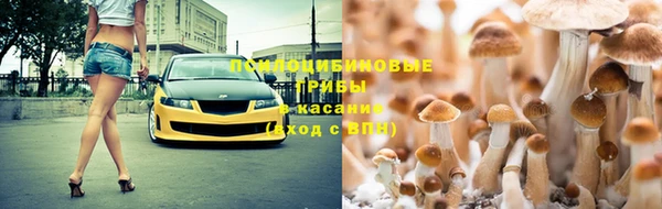 гашик Алексеевка