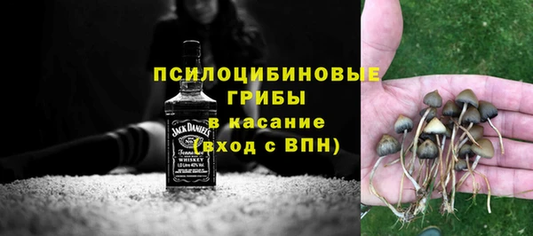 гашик Алексеевка