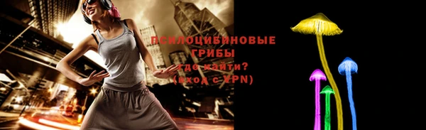 a pvp Алексин