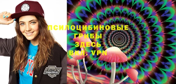 гашик Алексеевка