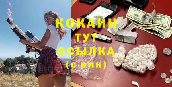 гашик Алексеевка