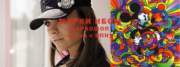 гашик Алексеевка