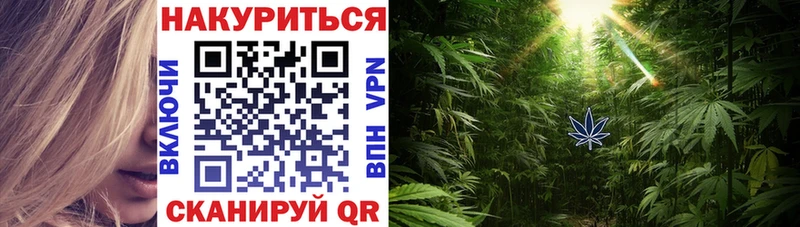 даркнет сайт  Новая Ляля  Каннабис ГИДРОПОН 